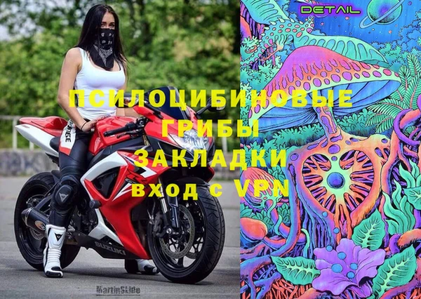 хмурый Богородицк