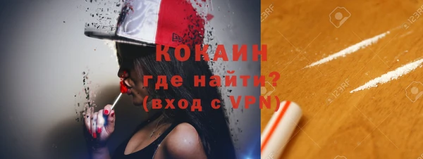 ПСИЛОЦИБИНОВЫЕ ГРИБЫ Гатчина