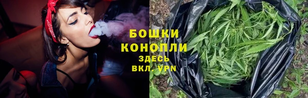 хмурый Богородицк